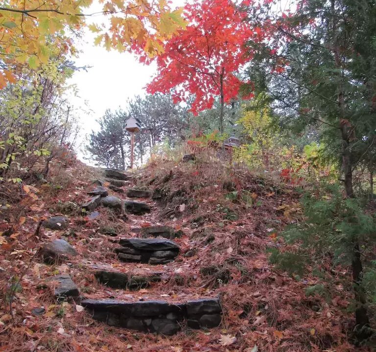 Photo of Outdoor in Wilmington