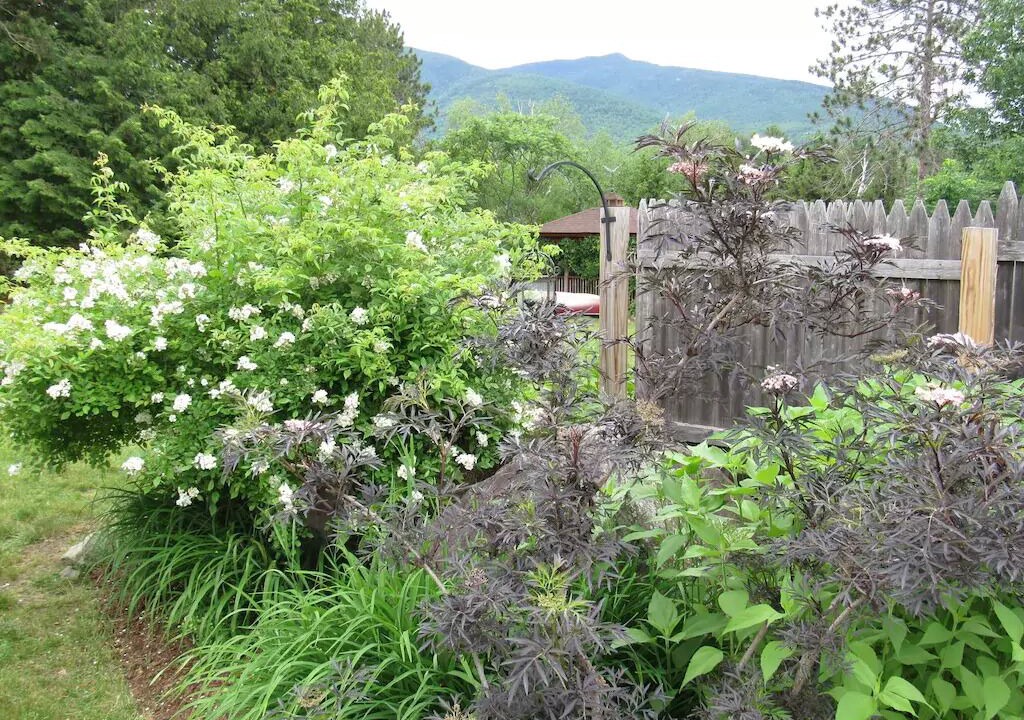 Photo of Outdoor in Wilmington
