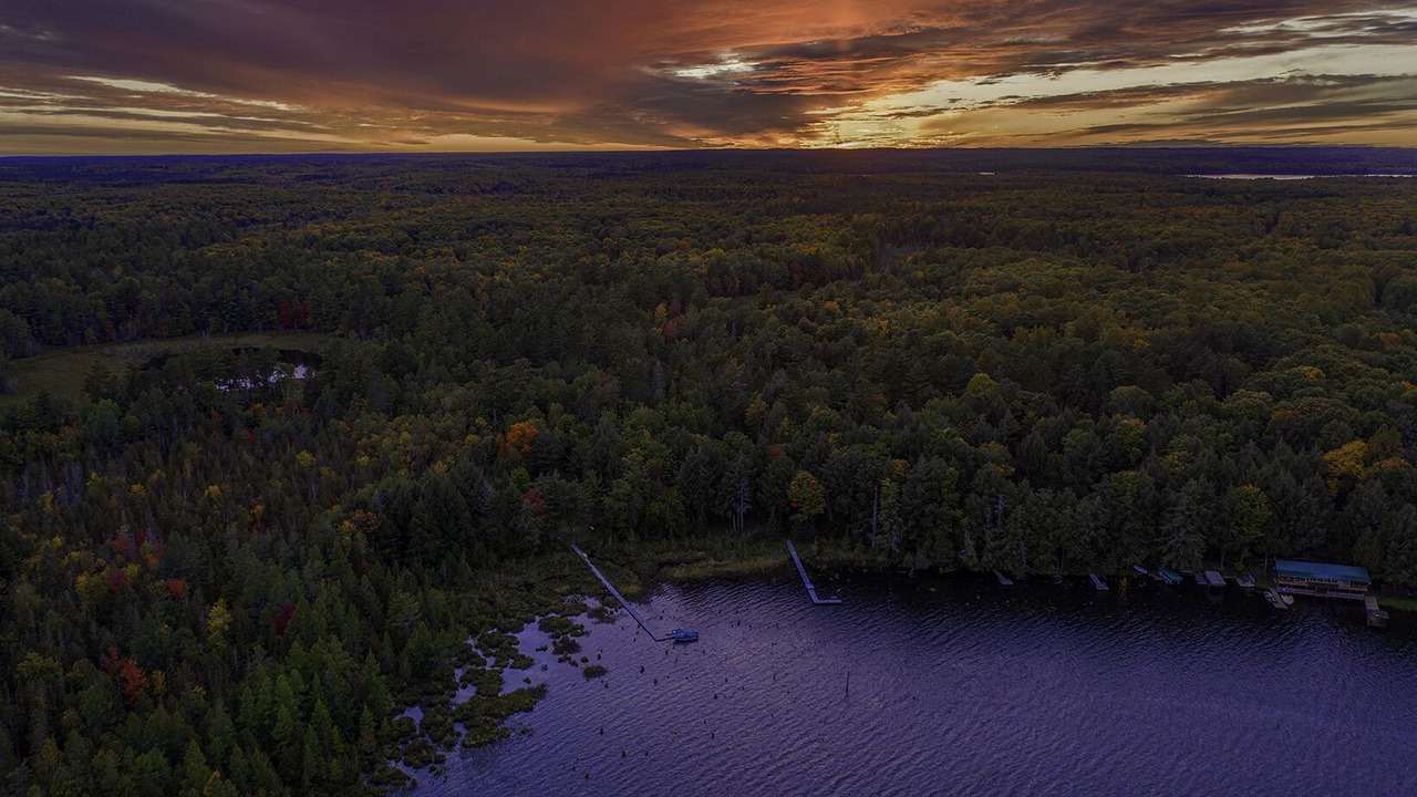 Photo of Outdoor in Land O Lakes