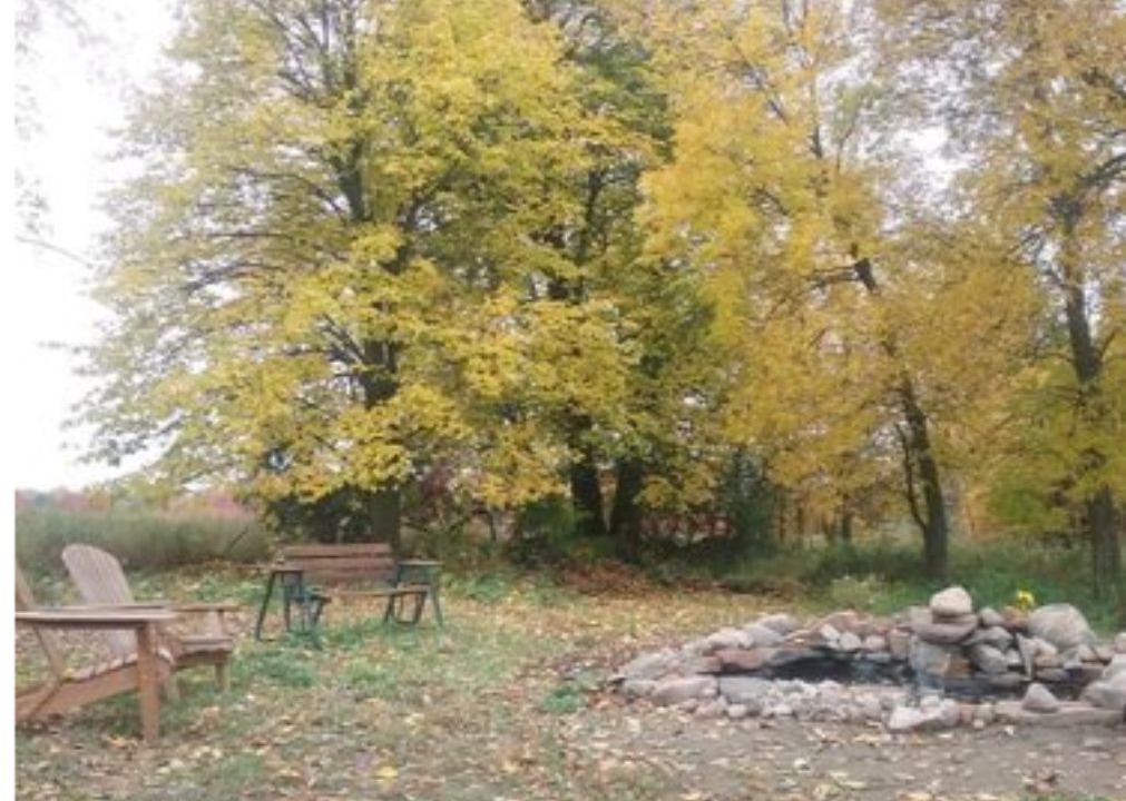 Photo of Others in Brook Park