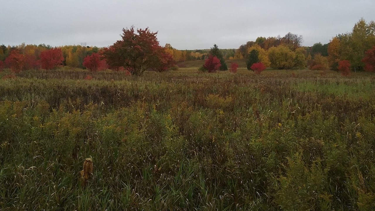 Photo of Outdoor in Brook Park