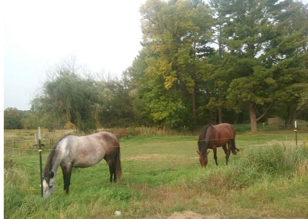 Photo of Outdoor in Brook Park