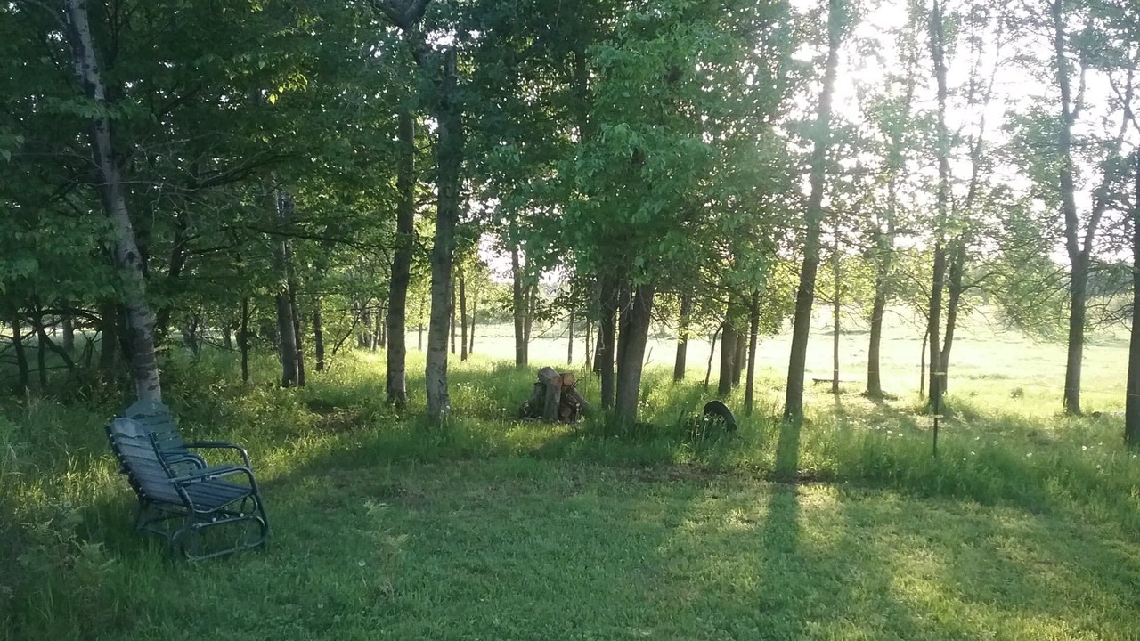 Photo of Outdoor in Brook Park