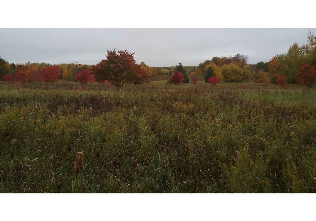 Photo of Outdoor in Brook Park