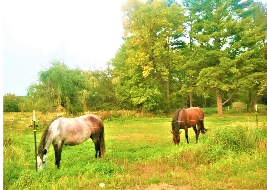 Photo of Outdoor in Brook Park
