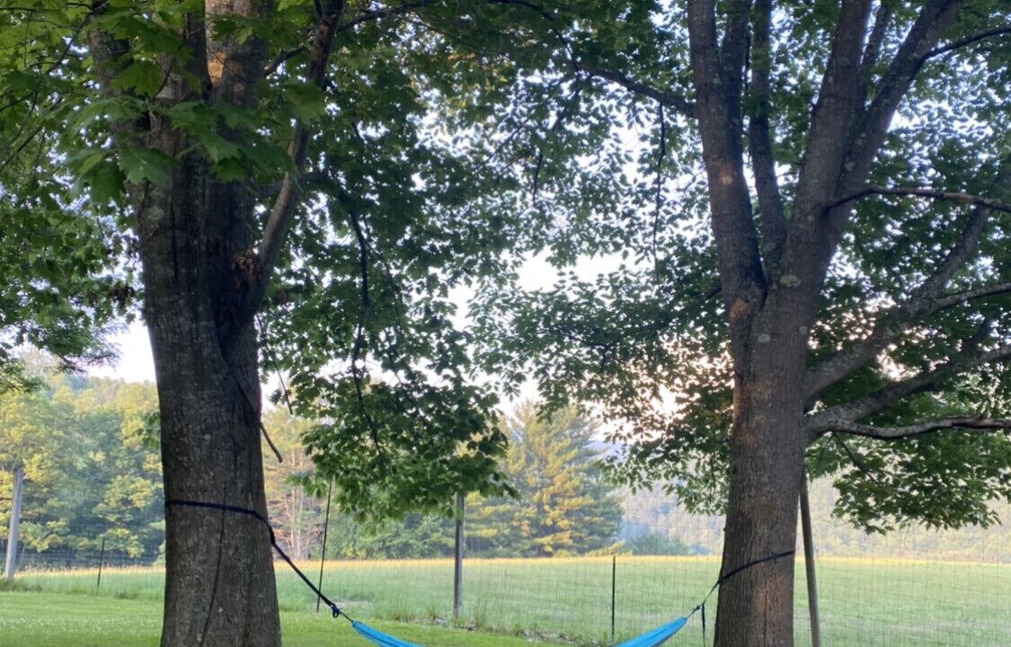 Photo of Outdoor in Tunbridge