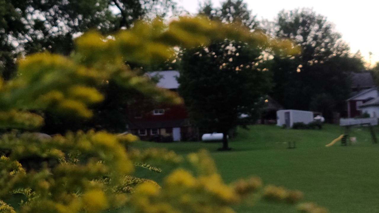Photo of Outdoor in Spillville