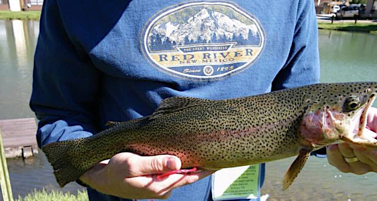 Photo of Others in Red River