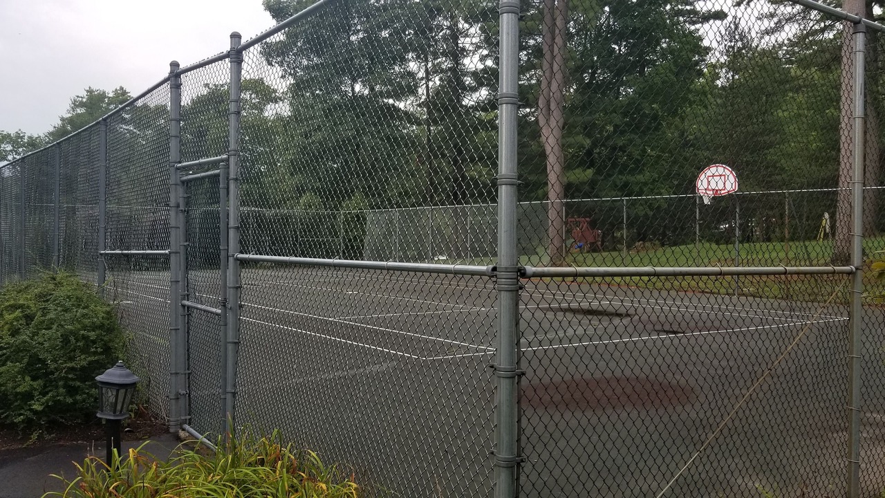Photo of Others in Bolton Landing