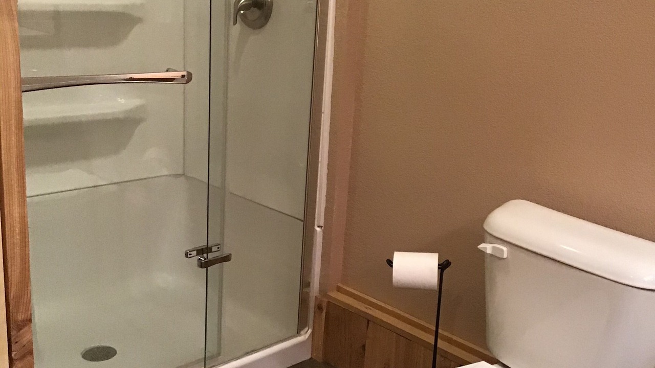 Photo of Bathroom in Springbrook