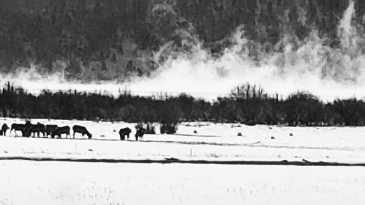 Photo of Others in Eagle Nest