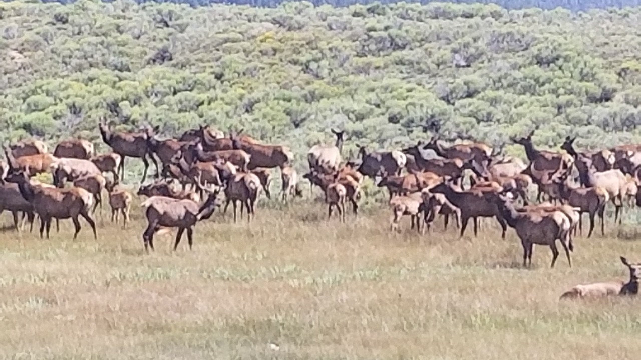 Photo of Others in Eagle Nest