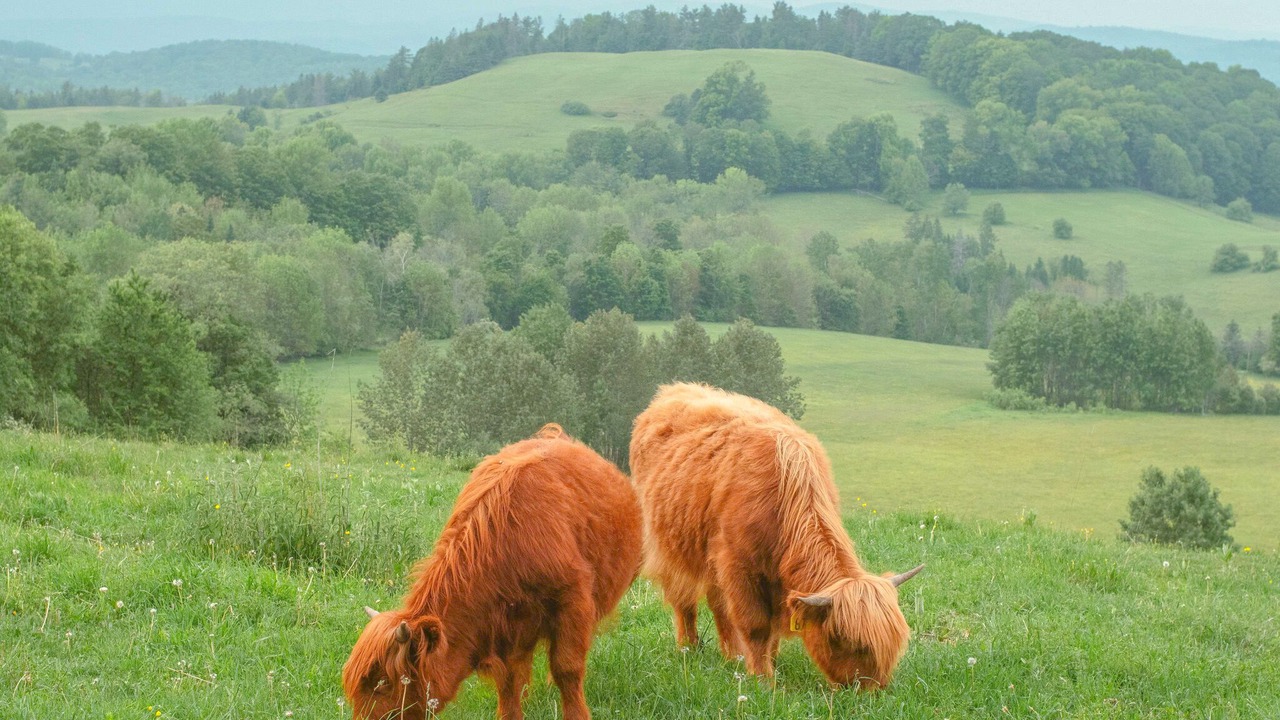 Photo of Others in Corinth