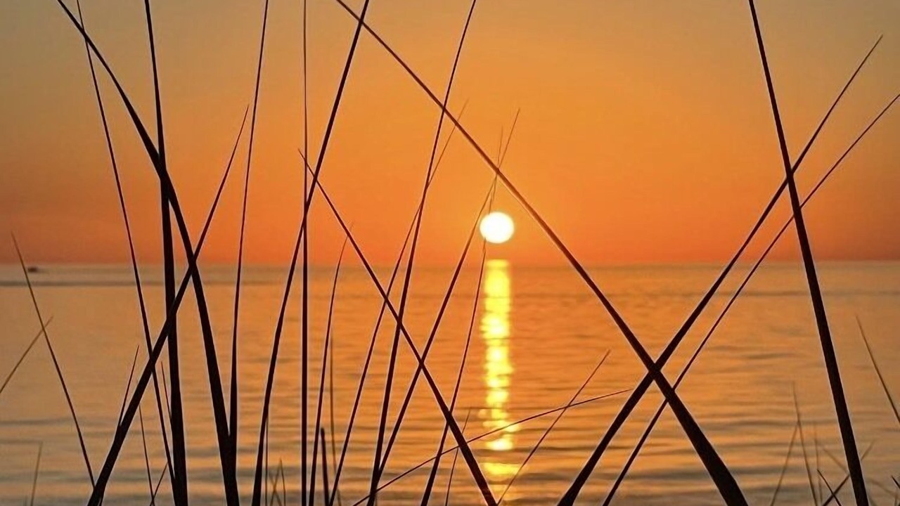 Photo of Outdoor in Port Sheldon