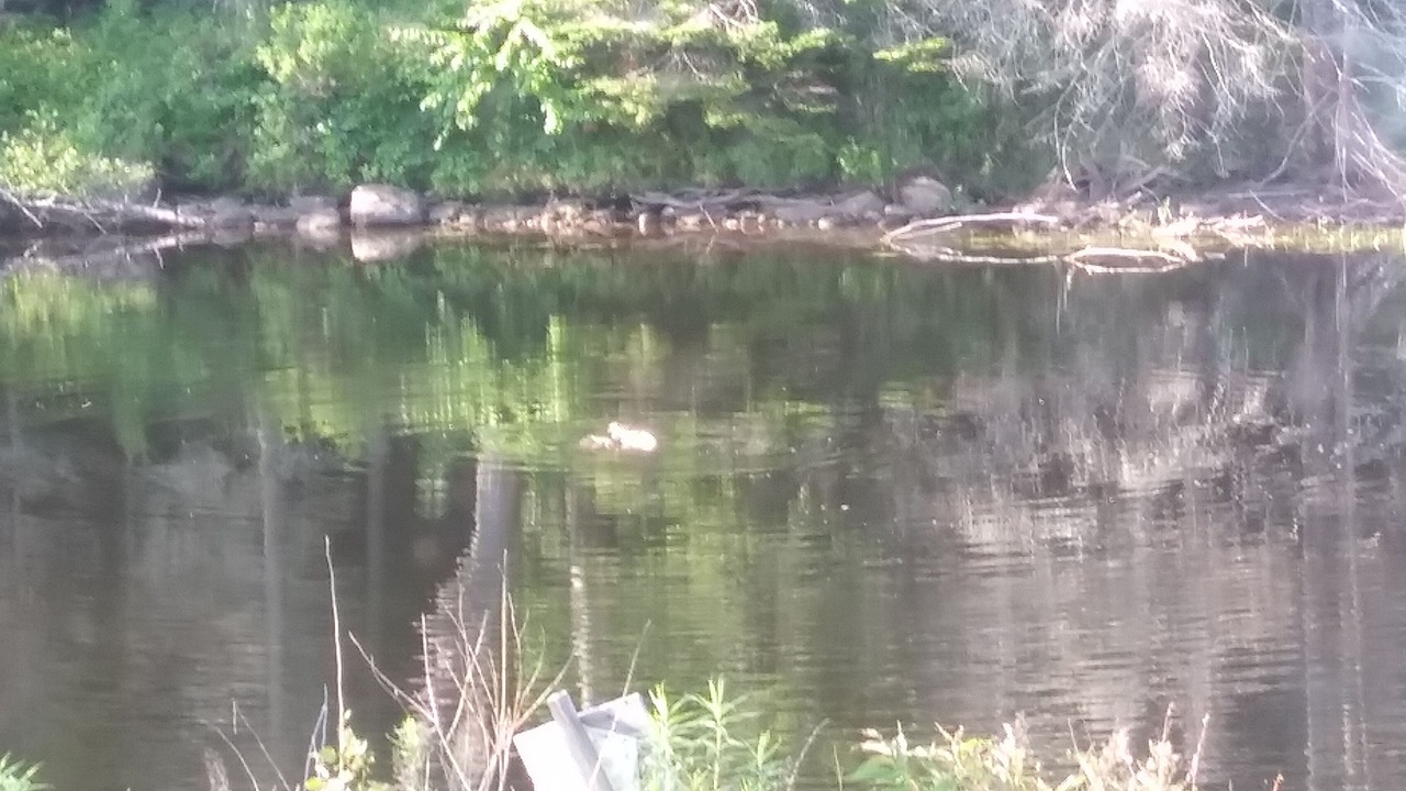 Photo of Outdoor in Tupper Lake