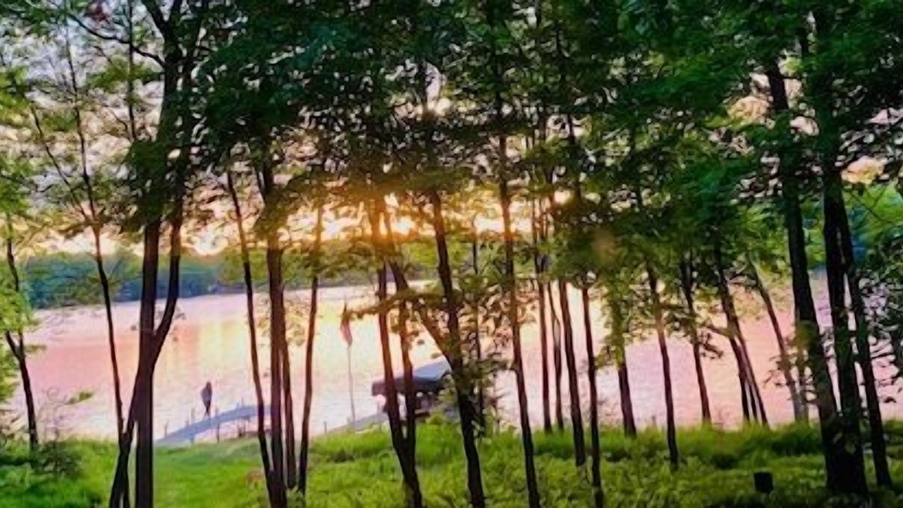 Photo of Outdoor in New Auburn