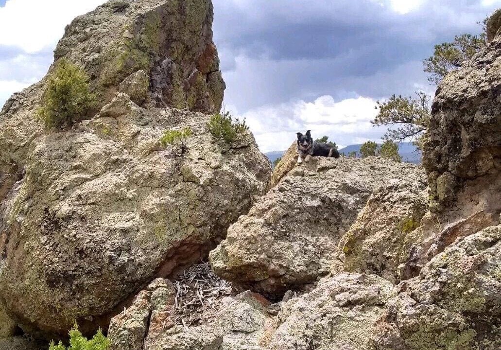 Photo of Outdoor in Rio Grande County