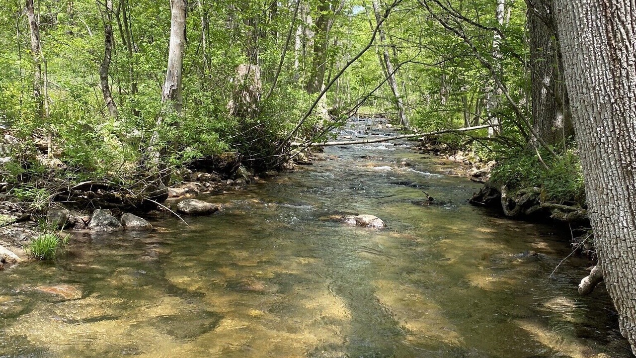 Photo of Others in Bennington