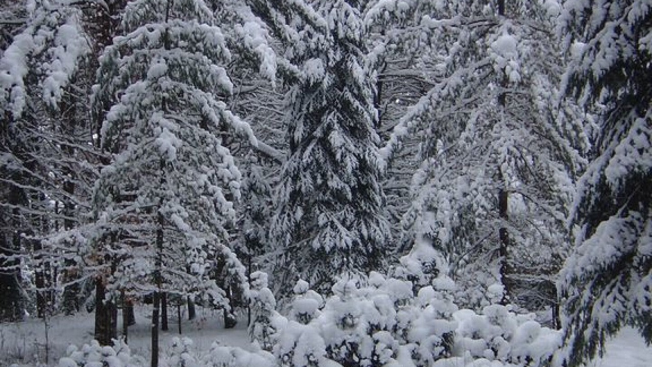 Photo of Outdoor in Meacham