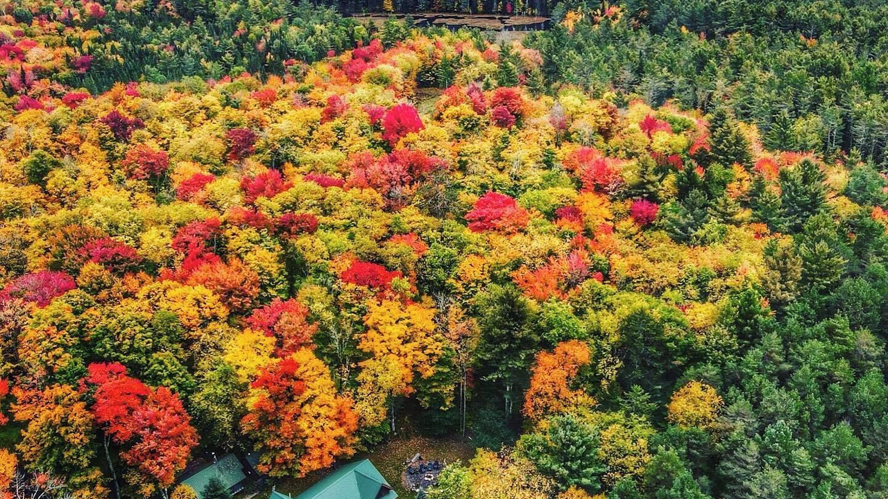 Photo of Outdoor in Meacham