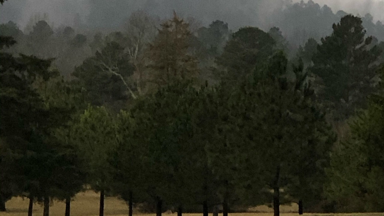 Photo of Outdoor in Board Camp