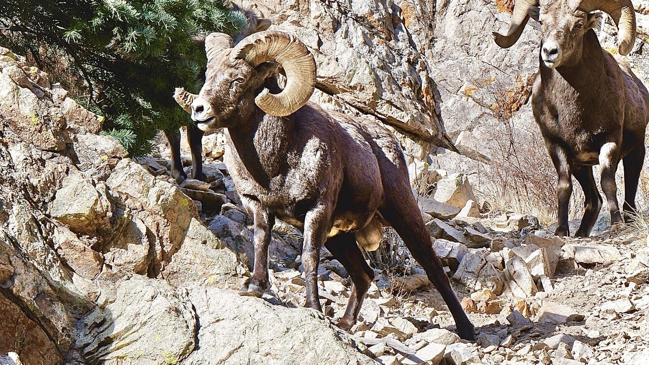 Photo of Others in Red River