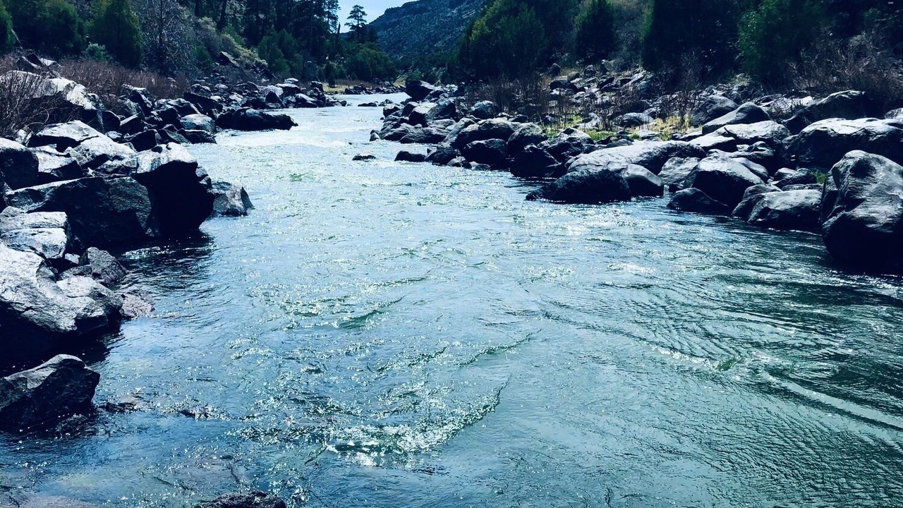 Photo of Others in Red River