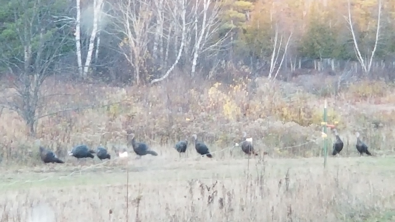 Photo of Outdoor in Tupper Lake