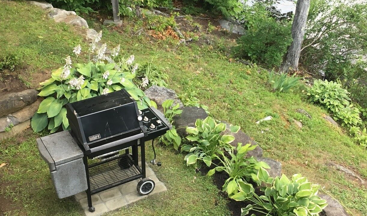 Photo of Outdoor in Sunapee