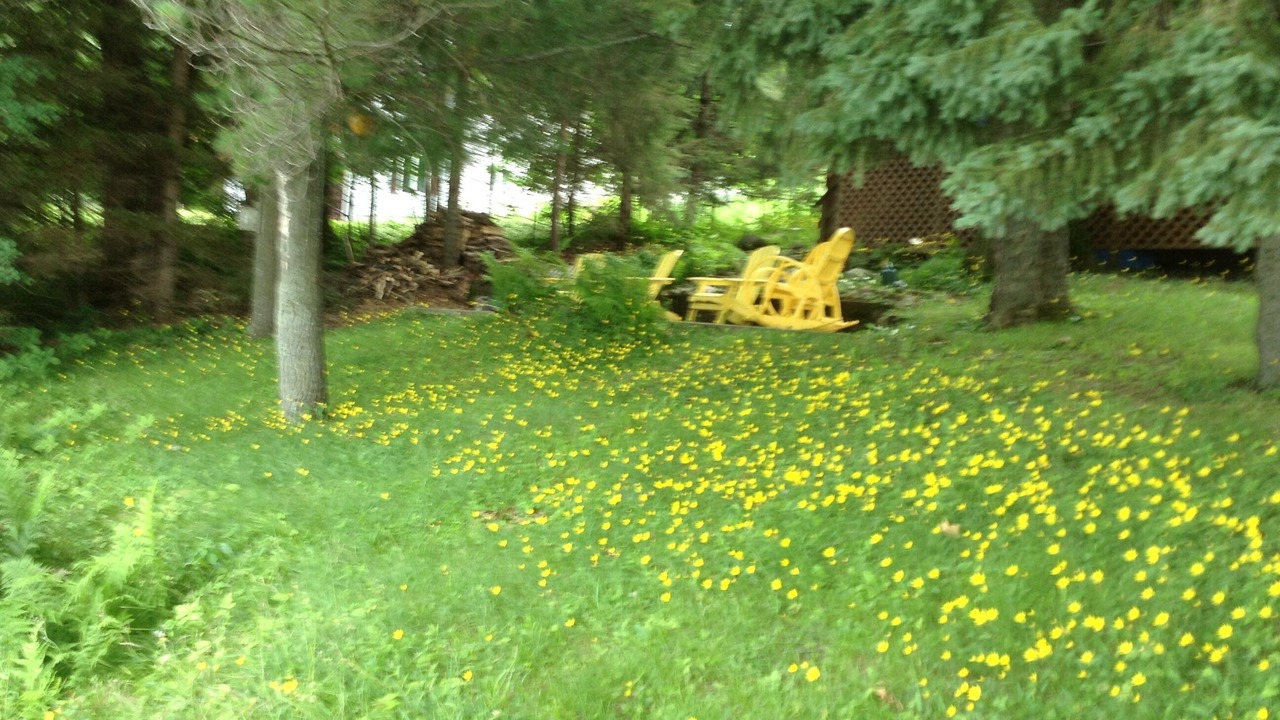 Photo of Others in Turtle Lake
