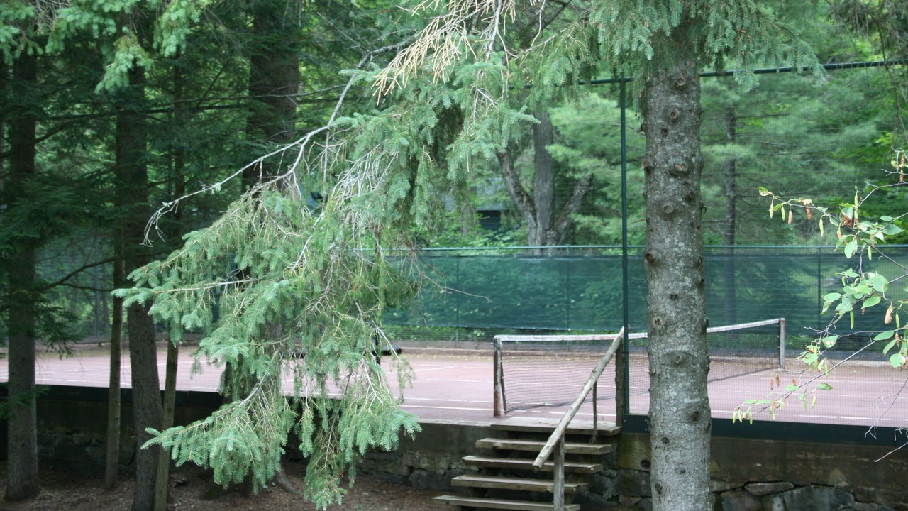 Photo of Others in Lake Placid