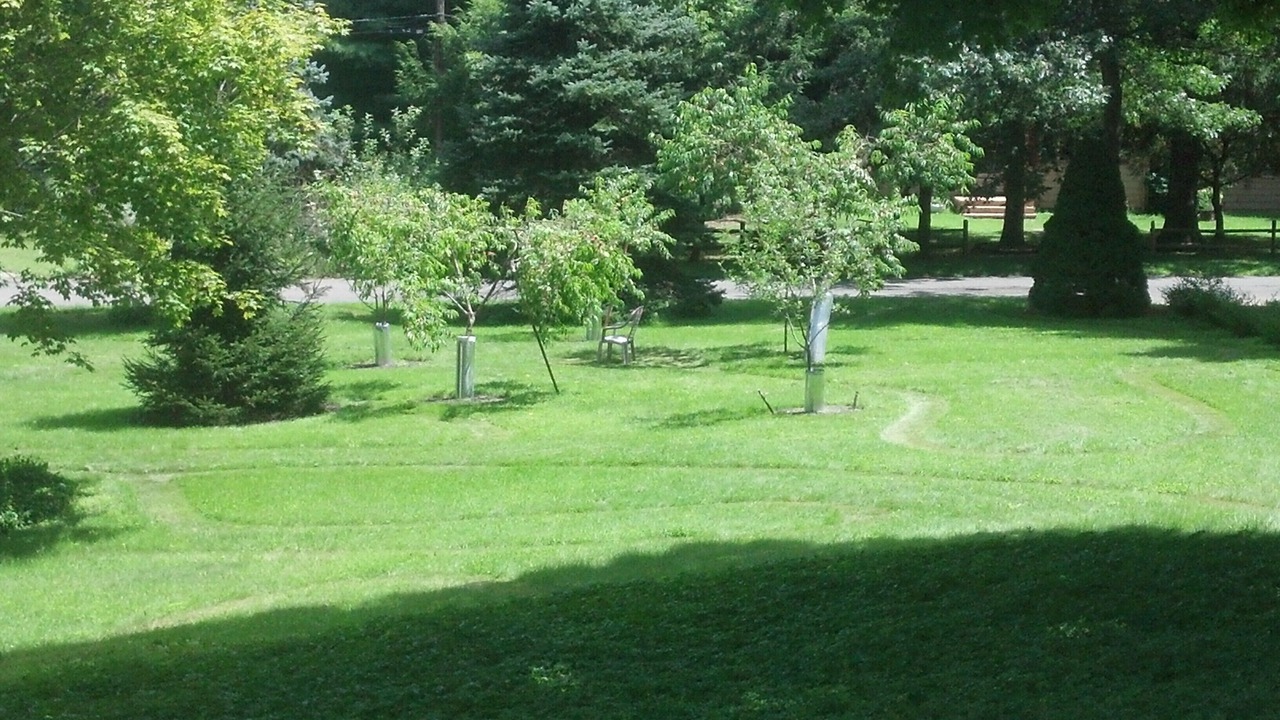 Photo of Others in Redding Ridge