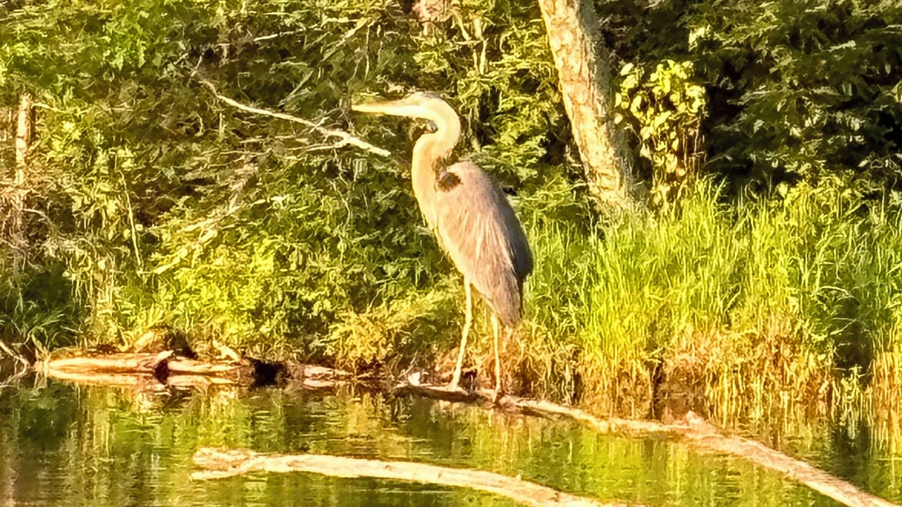Photo of Outdoor in Chief Lake