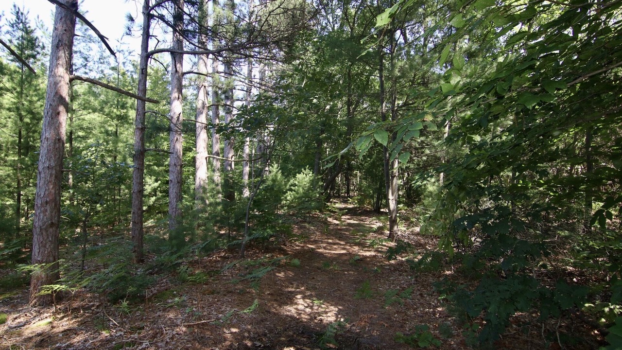 Photo of Outdoor in Montague