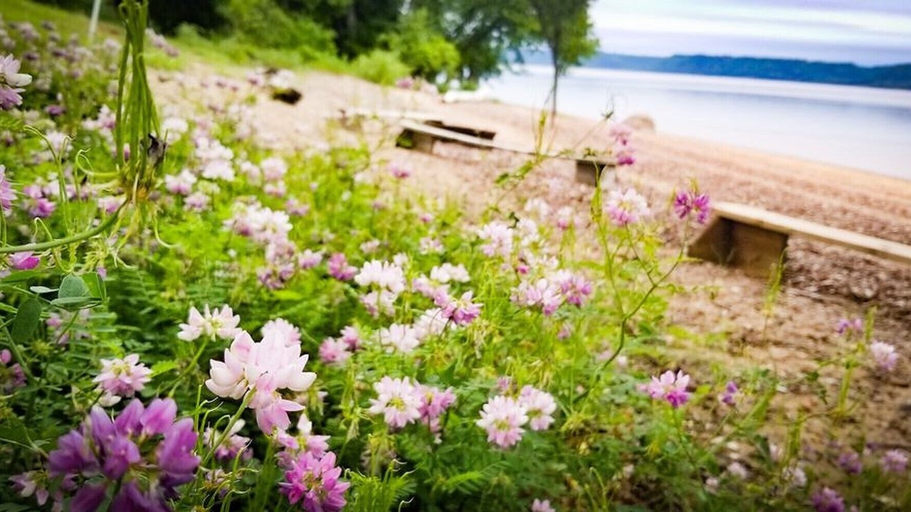 Photo of Outdoor in Pepin County