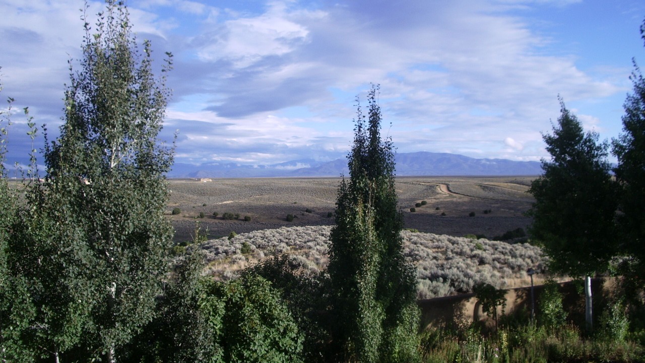 Photo of Others in Arroyo Hondo