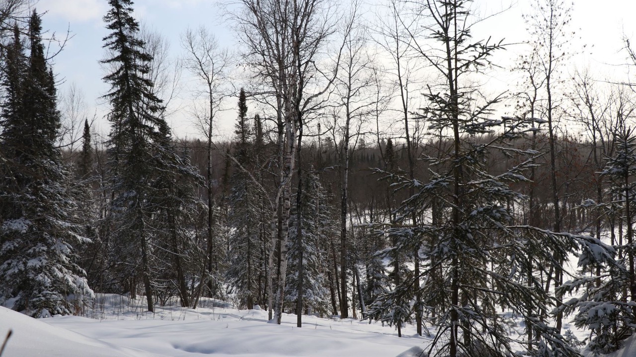 Photo of Others in South Range