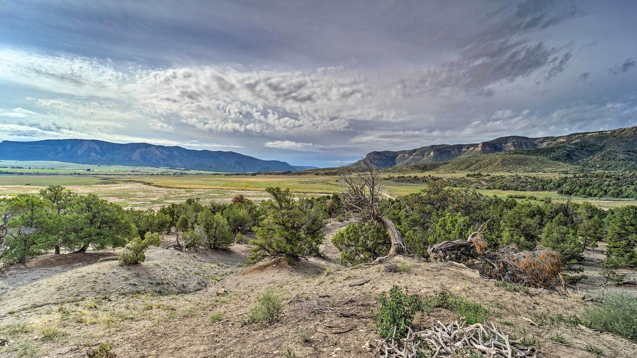 Photo of Others in Mancos