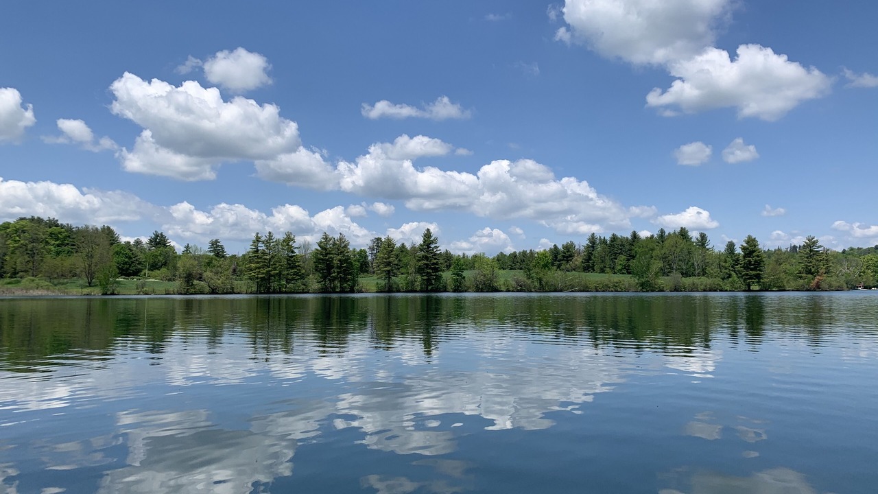 Photo of Outdoor in Lee