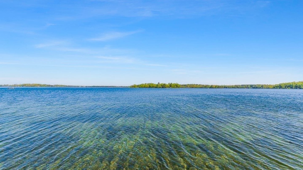 Photo of Others in Nisswa