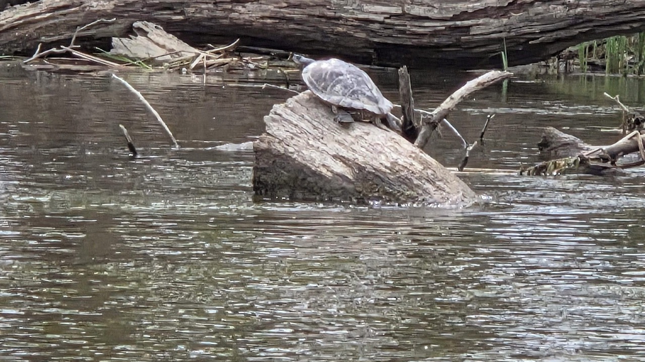 Photo of Others in New Richmond