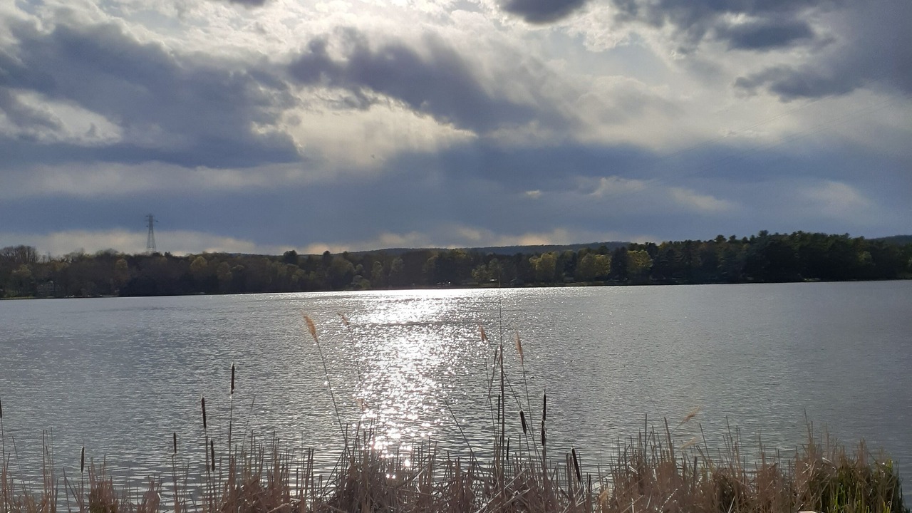 Photo of Others in Sharon
