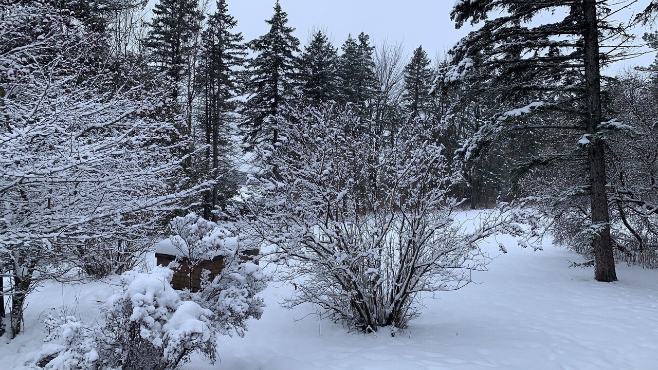 Photo of Outdoor in Alburg