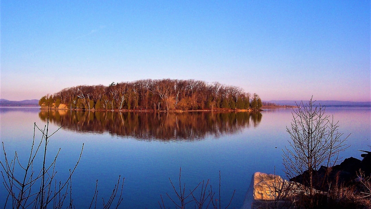 Photo of Others in Malletts Bay