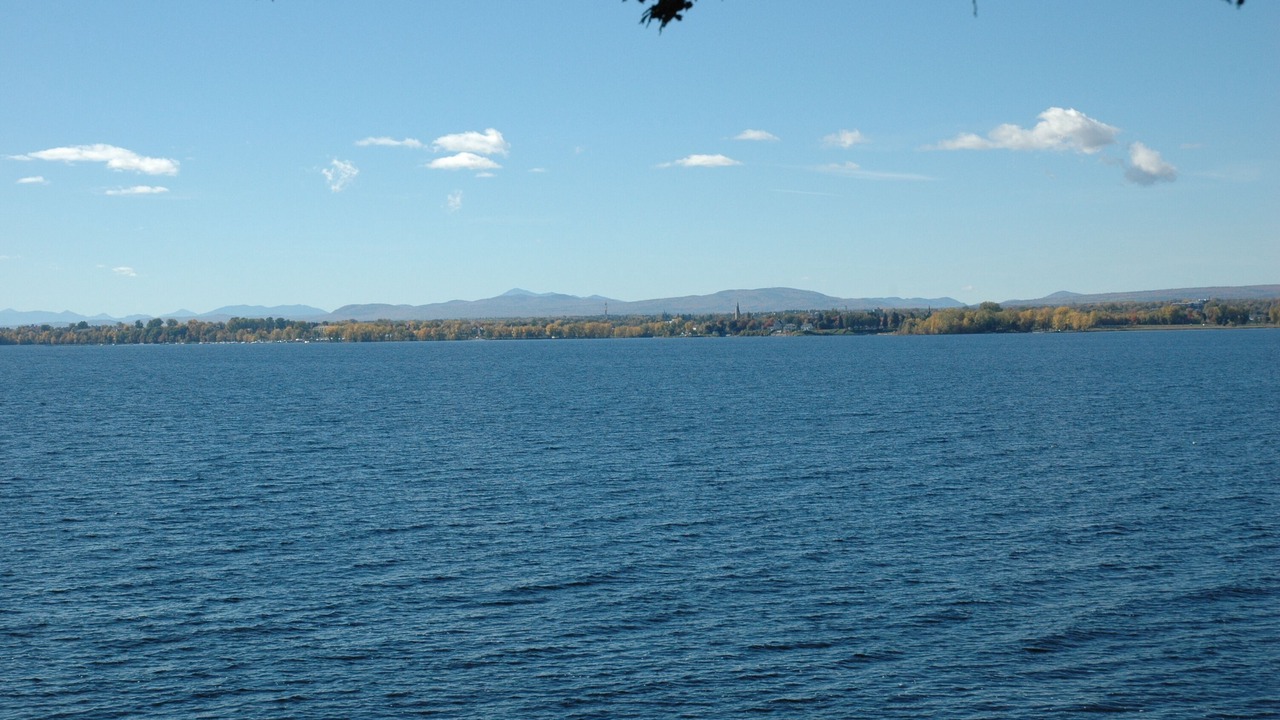 Photo of Others in Plattsburgh