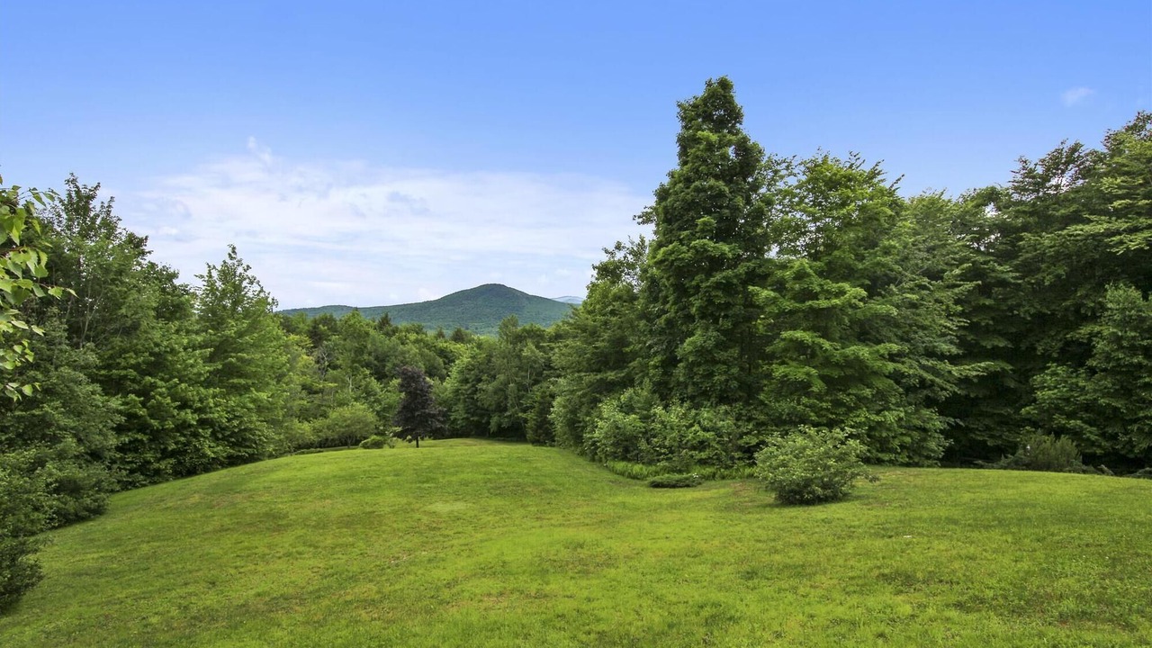 Photo of Others in Stowe Area