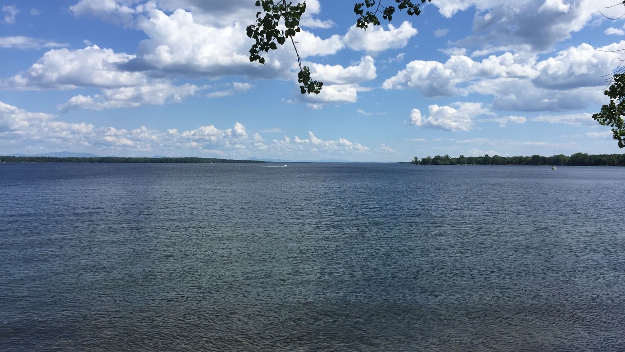 Photo of Outdoor in Chazy