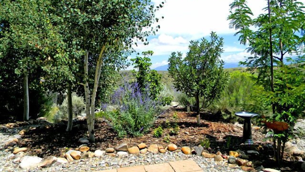 Photo of Others in Taos