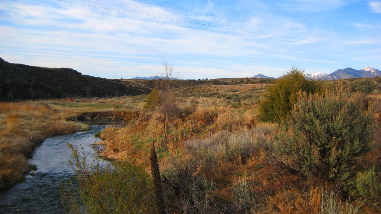 Photo of Others in Taos