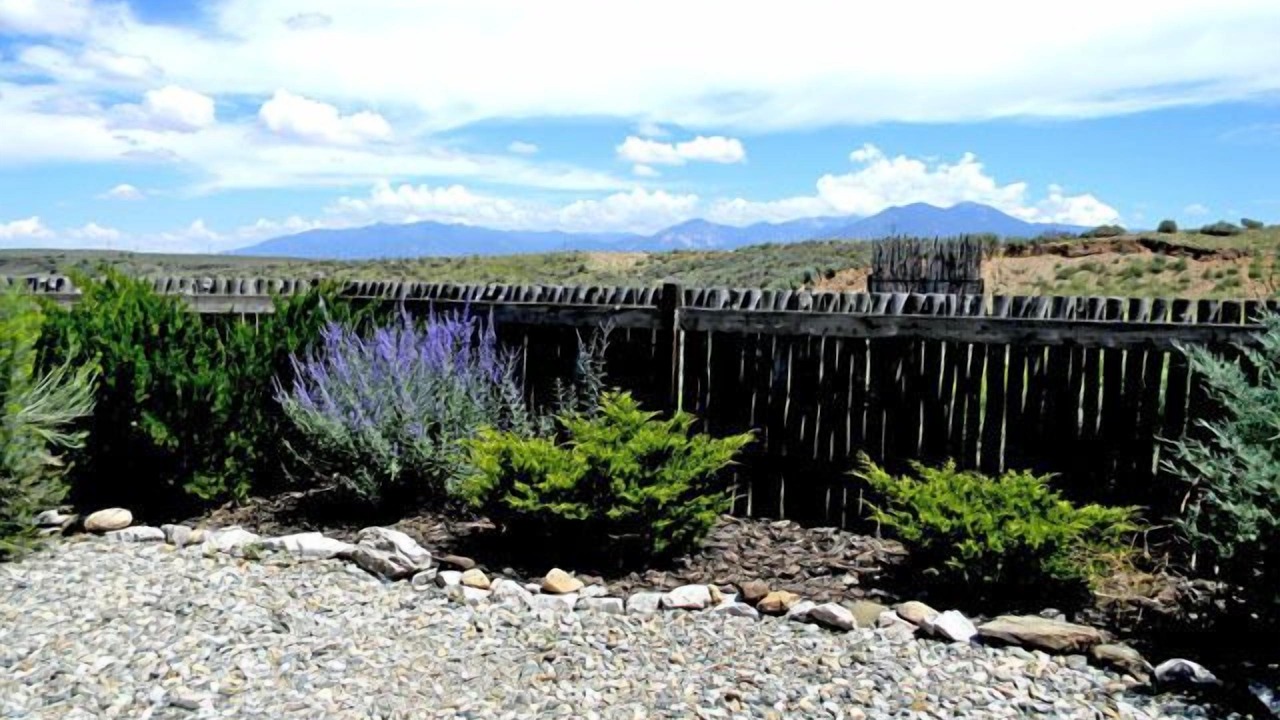 Photo of Others in Taos